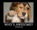 who's awesome.jpg