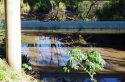 View towards Brisbane River showing water level under pipe at low tide 14.7.2012.JPG