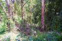 15 looking west along fenceline towards the Kholo.JPG