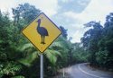 emu crossing.jpg