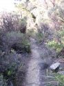 Track walk sublime point road 012.jpg