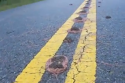 worms+roadway.png