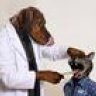 Doctorwoof