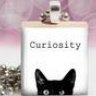 curiositycat