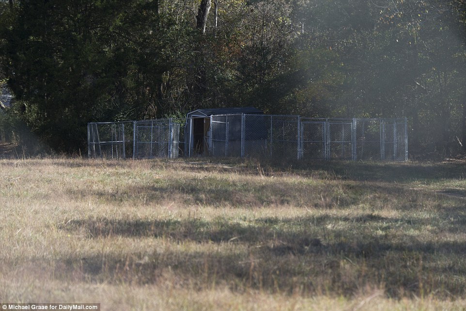 3A1132EA00000578-3905812-A_shed_for_animals_is_seen_surrounded_by_a_wire_fence_on_the_pro-a-56_1478285543242.jpg