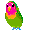 bird-parrot6pg.gif