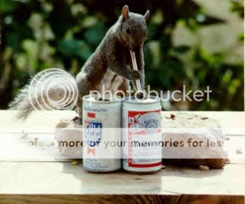 squirrel_beer.jpg