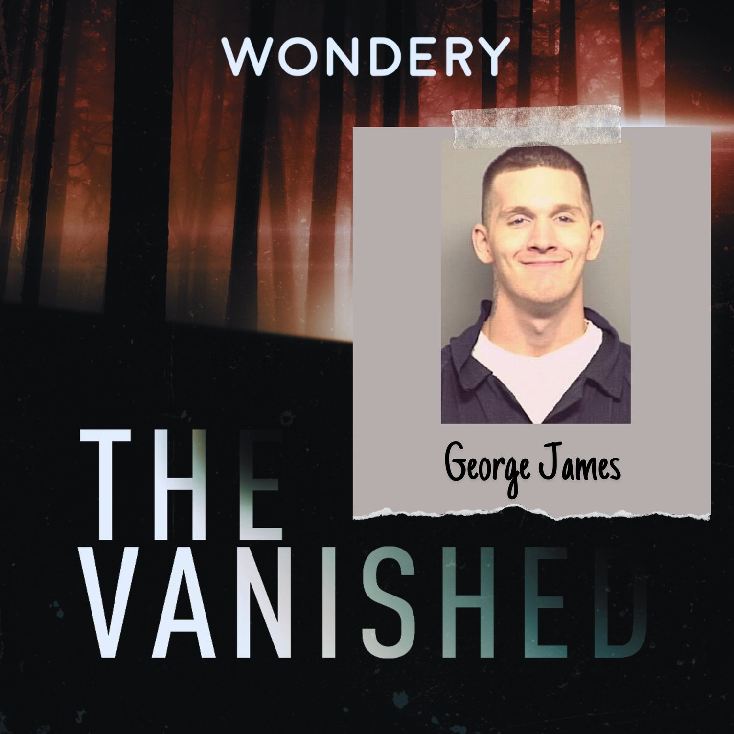 www.thevanishedpodcast.com