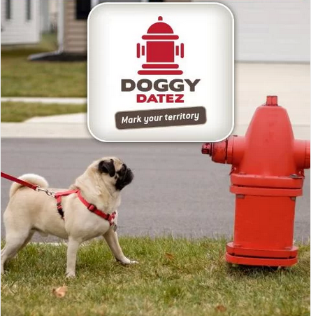 doggy-datez-by-marking-your-territory-youre-taking-ownership-of-an-area-200m-radius-in-the-physical-world-and-seeing-who-else-visits-your-dogs-spot.jpg