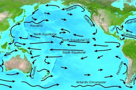Pacific_Ocean_Currents.jpg