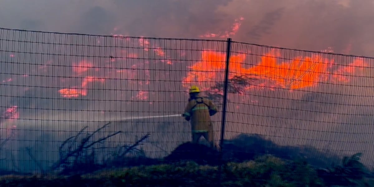 www.hawaiinewsnow.com