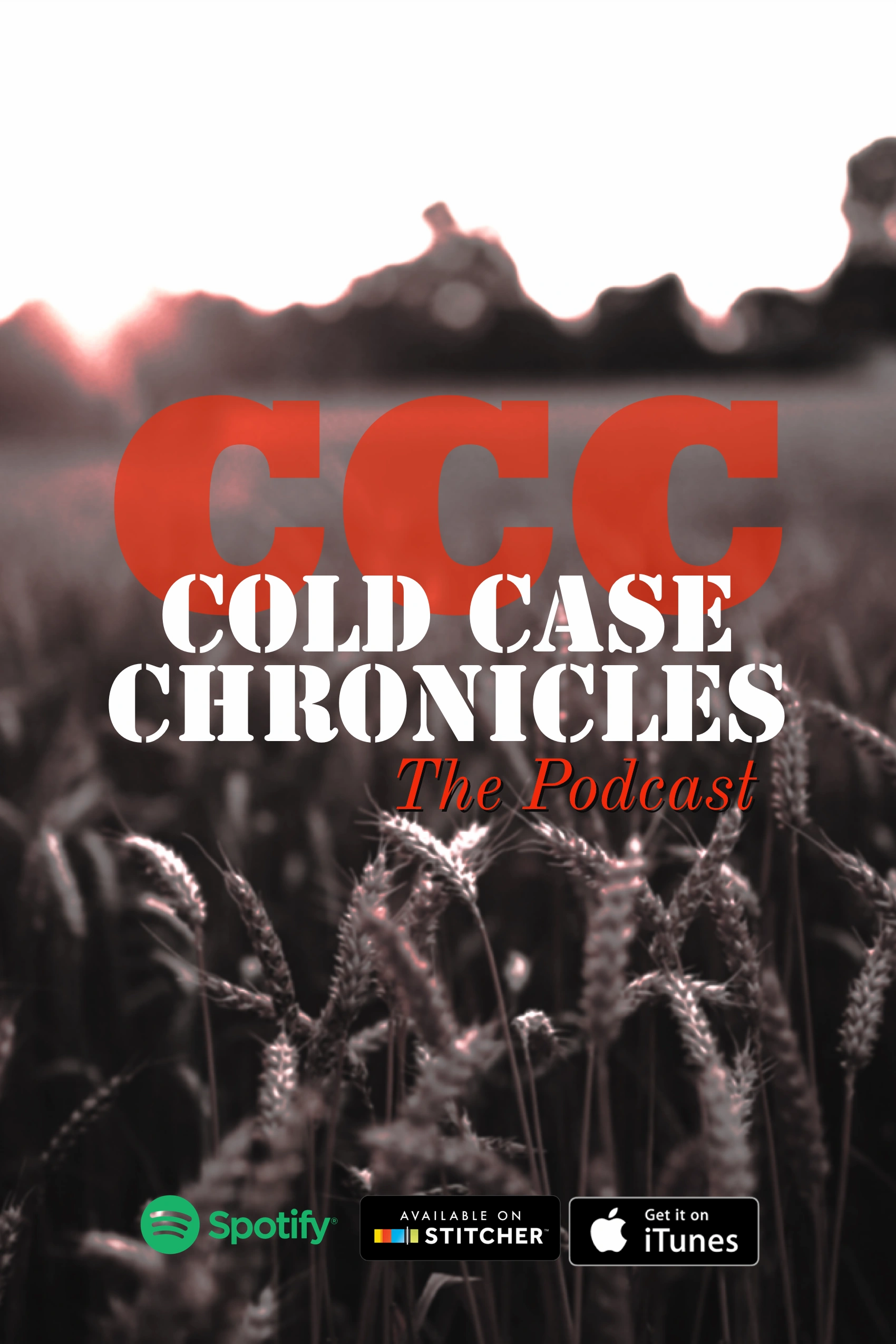 coldcasechronicles.com