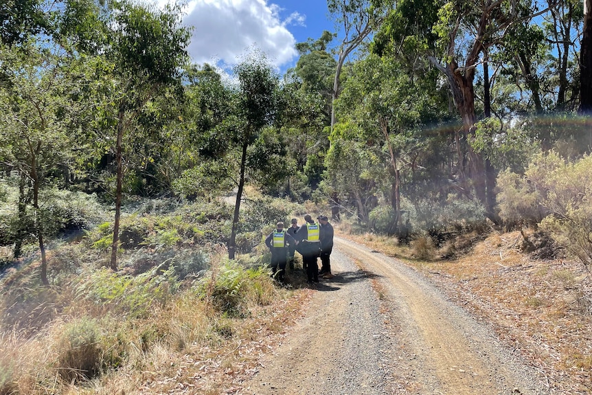 Police officers huddle together in bushland near a walking track.