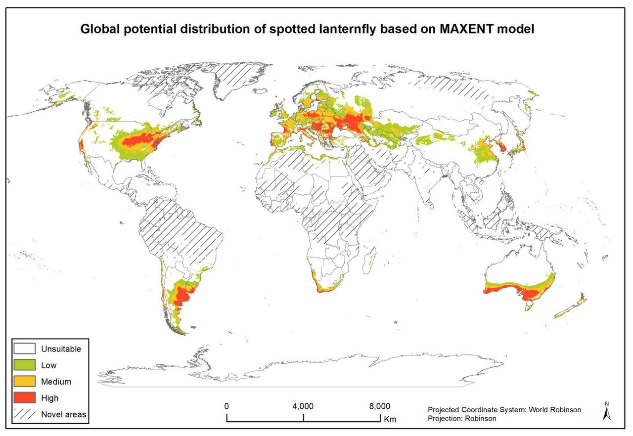 1280px-Potential_Global_Distribution_of_Spotted_Lanternfly.jpg