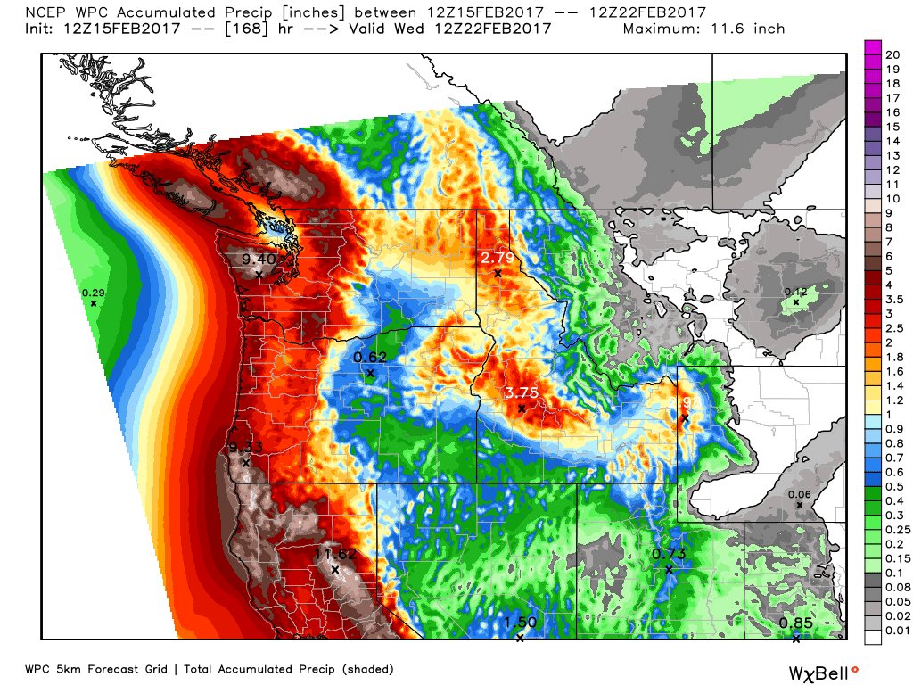 wpc-forecast-accum-precip-2-12-to-2-22.png