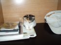 new_kitty_005.jpg