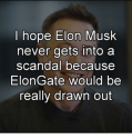 i-hope-elon-musk-never-gets-into-a-scandal-because-31189102.png