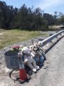 Tiahleigh roadside memorial.jpeg