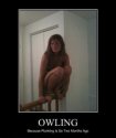 owling.jpg