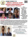 Maleah's flyer brain surgery March 19.jpg