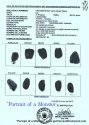 Joran Fingerprints from Peru from Pullitzer and Thompson.jpg