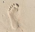 Footprint.JPG