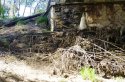 Under K bridge stockpiled vegetation 14.7.2012.JPG