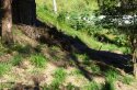 Veg stockpile showing slope down bank under bridge 14.7.2012.JPG