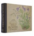 readers-digest-field-guide-to-the-wild-flowers-of-britain.jpg