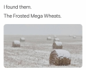 Frosted wheats.png