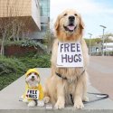 Free hugs.jpg