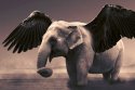 angel elephant.jpg