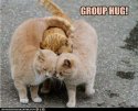 Group hug.jpg