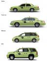 Street hail green taxi.png