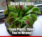 Dear vegans.jpg
