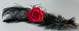 Black feather with rose.png