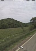 A72684F3-7EF0-4853-8FA2-E9772BE2F0BB.jpeg