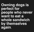Owning dogs.jpg