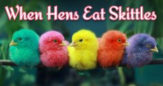 When hens.jpg