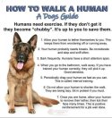 Walk a human.jpg