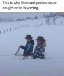 Wyoming.jpg