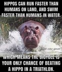 Hippos.jpg