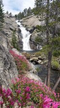 Chilnualna-Falls-with-Penstemmons-281x500-20160610_155938.jpg