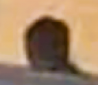 1696124900048.png