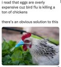 Bird flu.jpg