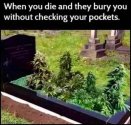 When you die.jpg