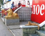 Cat & lion.jpg
