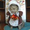 Cat-Female-Pilgrim-Costume.jpg