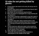 10 rules.jpg