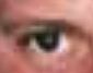 DDawson Eye.JPG